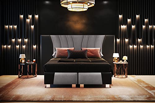 TRADA Imperial Boxspringbett Luxus Hotelbett in Schlafzimmer mit Matratze Lederbett (Schwarz Leder + Silbergrau, 200 x 200 cm)